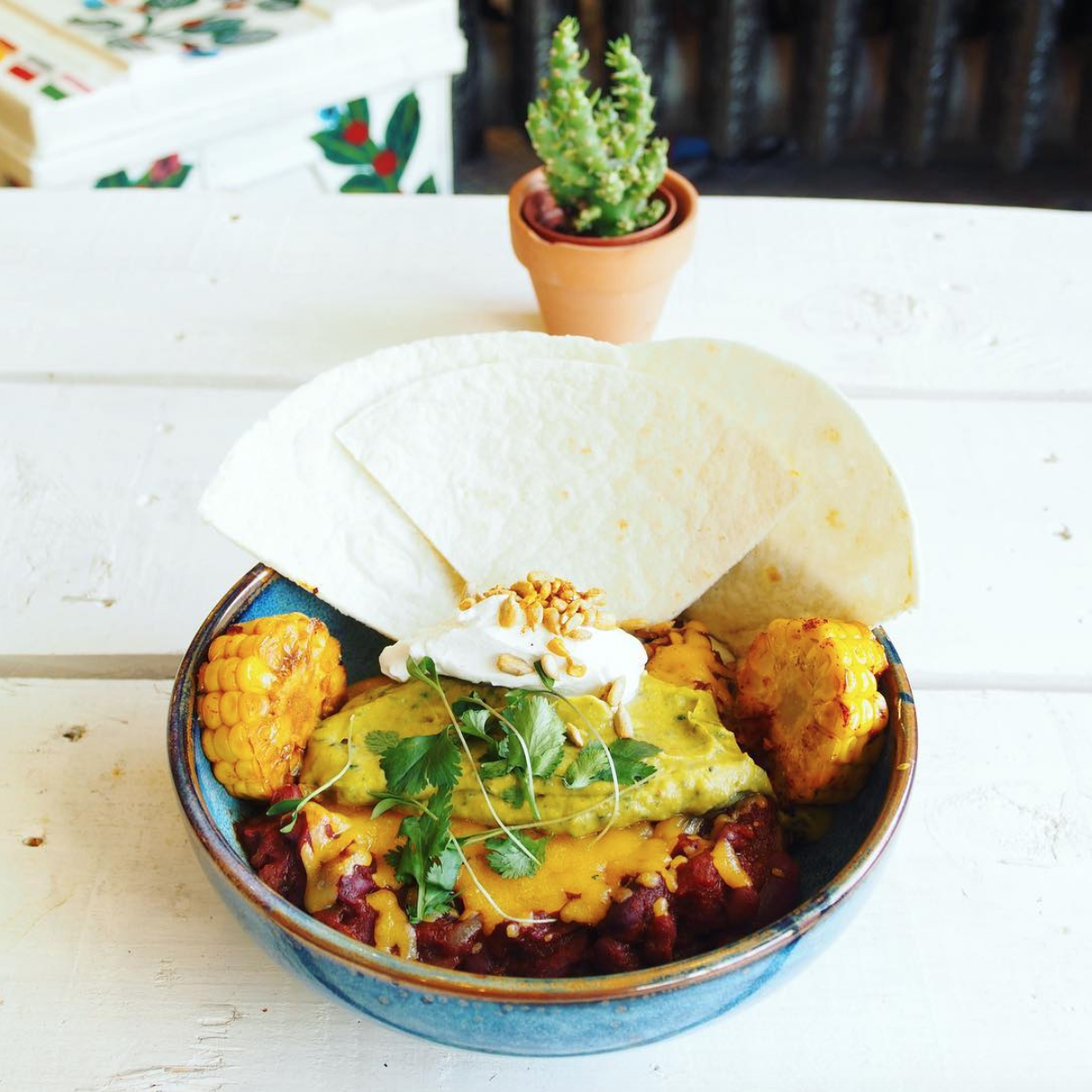 mexico bowl Holissence