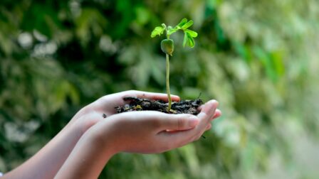 La beauté durable, réduire son empreinte écologique